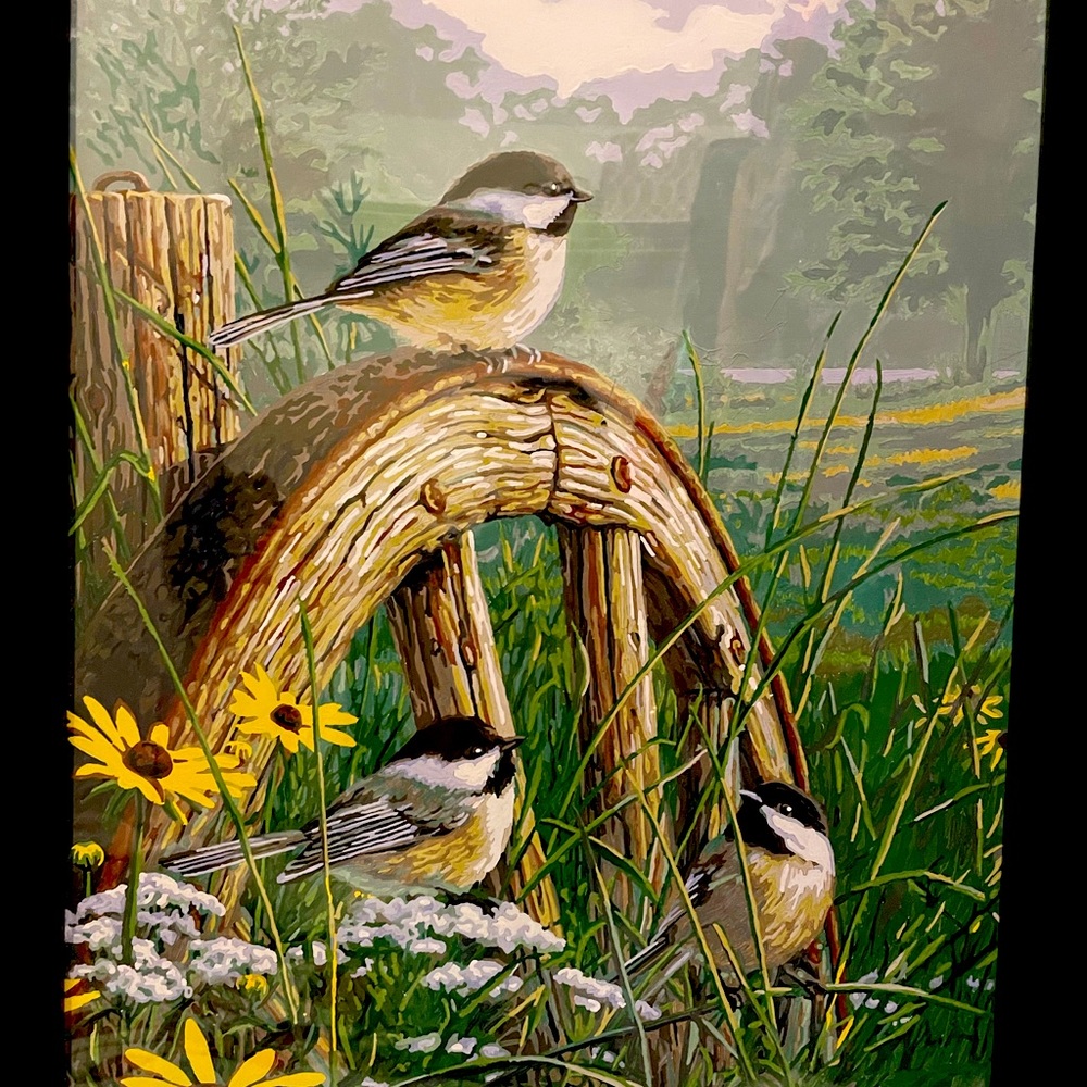 Framed ready paint by numbers picture.